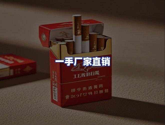 专业团队